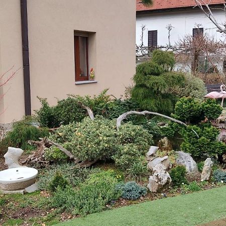 B&B Vegan La Mucca Felice - Grazioso Appartamento Nel Verde Rancio Valcuvia Extérieur photo