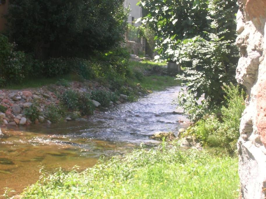B&B Vegan La Mucca Felice - Grazioso Appartamento Nel Verde Rancio Valcuvia Extérieur photo