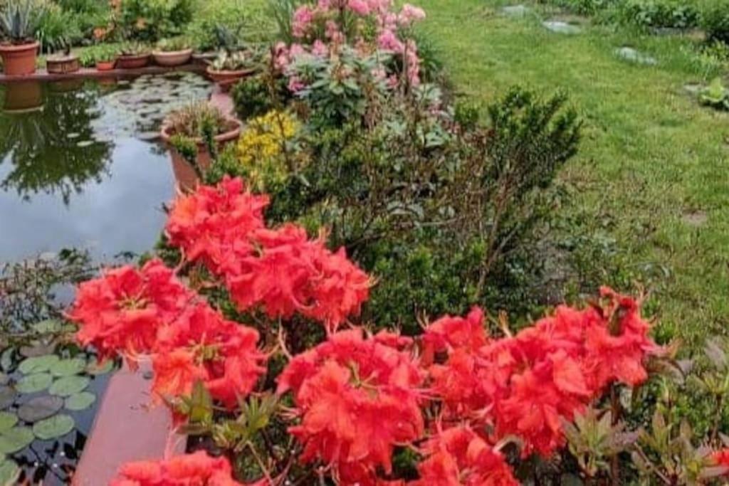 B&B Vegan La Mucca Felice - Grazioso Appartamento Nel Verde Rancio Valcuvia Extérieur photo