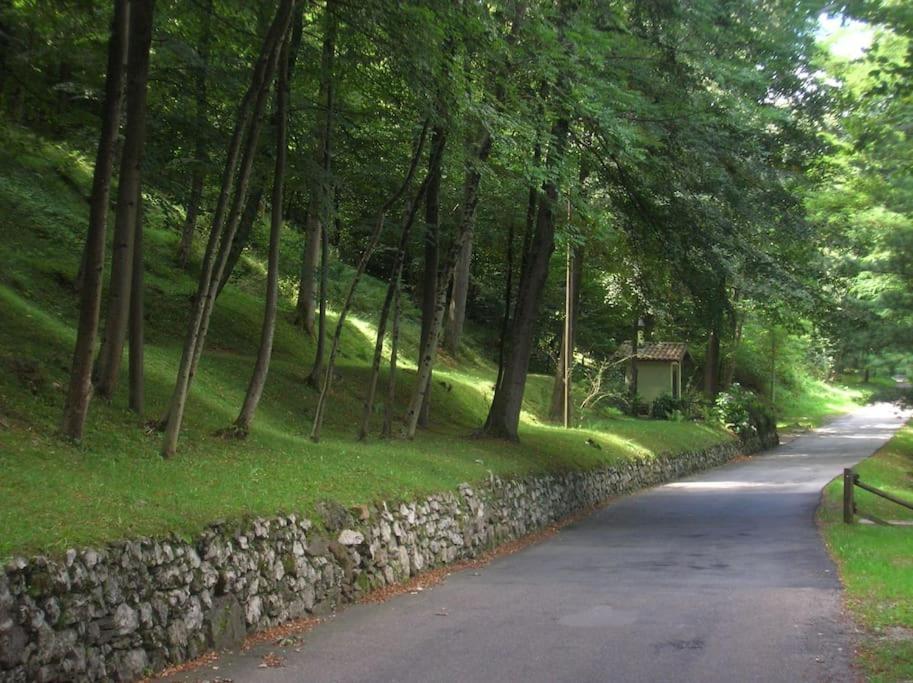 B&B Vegan La Mucca Felice - Grazioso Appartamento Nel Verde Rancio Valcuvia Extérieur photo