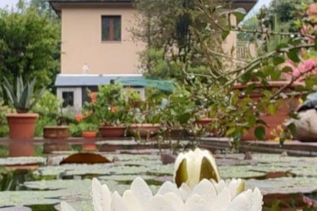 B&B Vegan La Mucca Felice - Grazioso Appartamento Nel Verde Rancio Valcuvia Extérieur photo